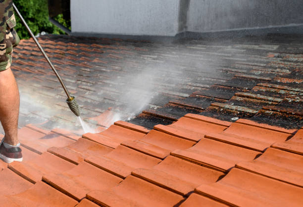 Roof Power Washing Services in South Patrick Shores, FL