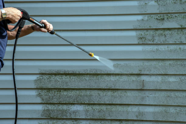 Best Affordable Pressure Washing  in South Patrick Shores, FL